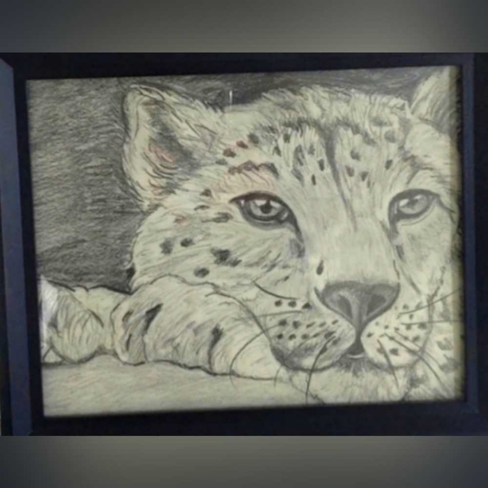 Leopard drawing by Fairygodmother Emily Jean #bigcats cat